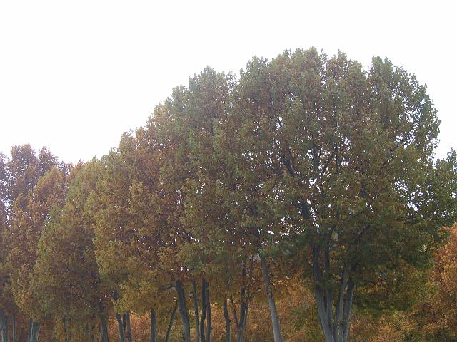 Photo 103.jpg